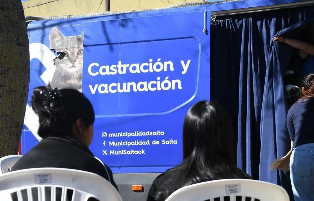 WhatsApp Image 2025-08-06 at 10.52.06