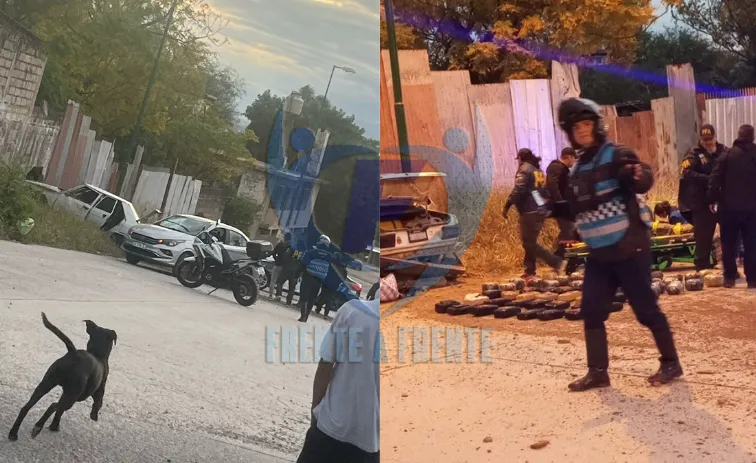 Captura de pantalla 2025-04-03 204241