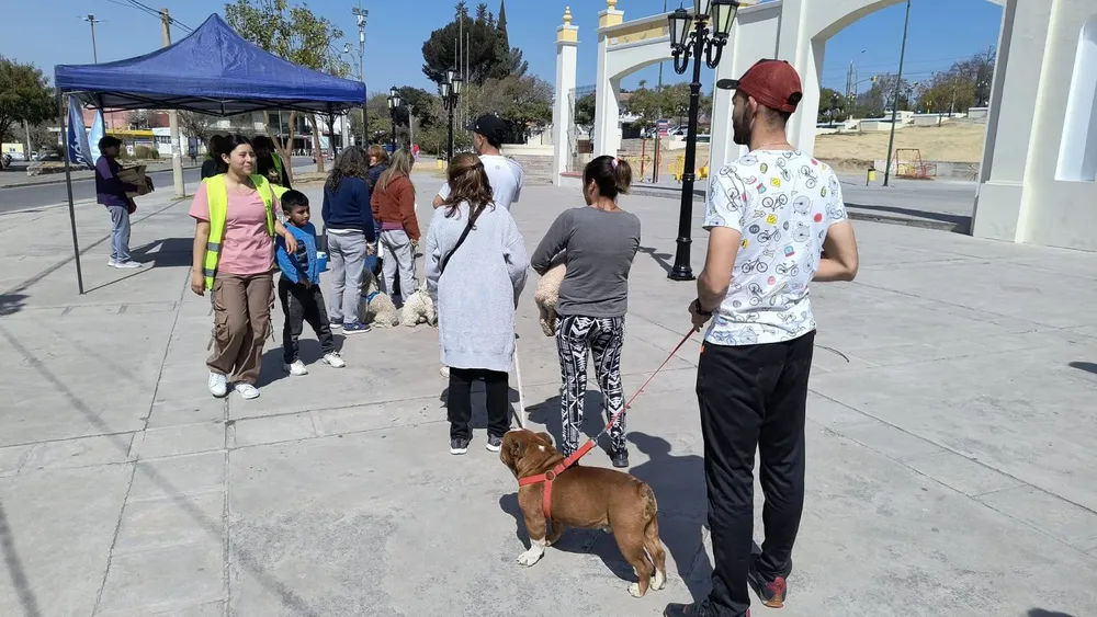 vacunacion-antirrabica-plaza-espana-3-1536x864
