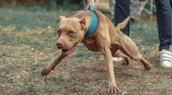 Captura de pantalla 2025-11-27 142145