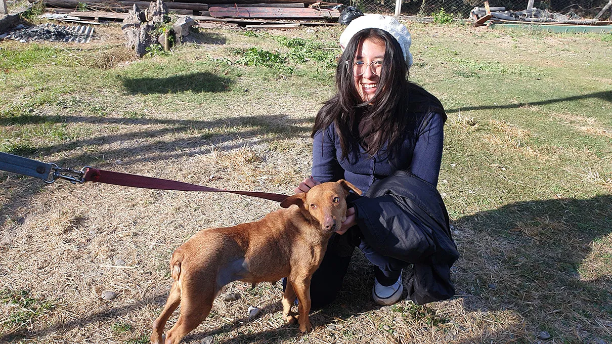 refugio-animal-paseo-18