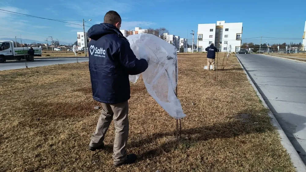 mallas-antiheladas-1-1536x864