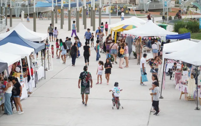 Captura de pantalla 2026-01-29 145505