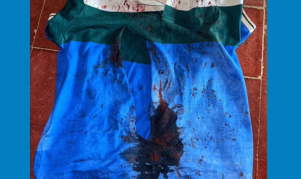 multimedia.normal.866405cc8ea814d6.YXRhcXVlIHBhdG90YV9ub3JtYWwud2VicA==