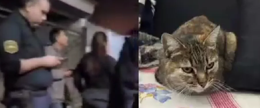 Captura de pantalla 2026-09-04 163556
