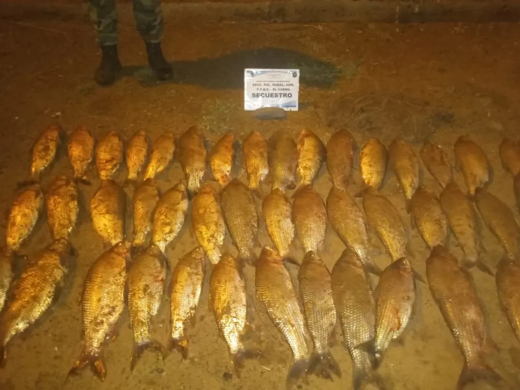 Imagen-de-WhatsApp-2024-01-24-a-las-08.54.00_7cfbc916-1024x768