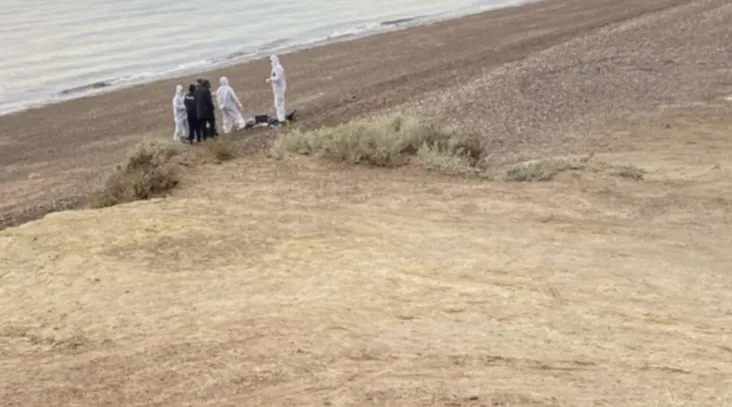 Captura de pantalla 2025-07-04 031254