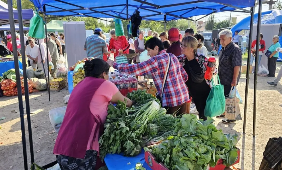 Screenshot_20240507_151251_Chrome