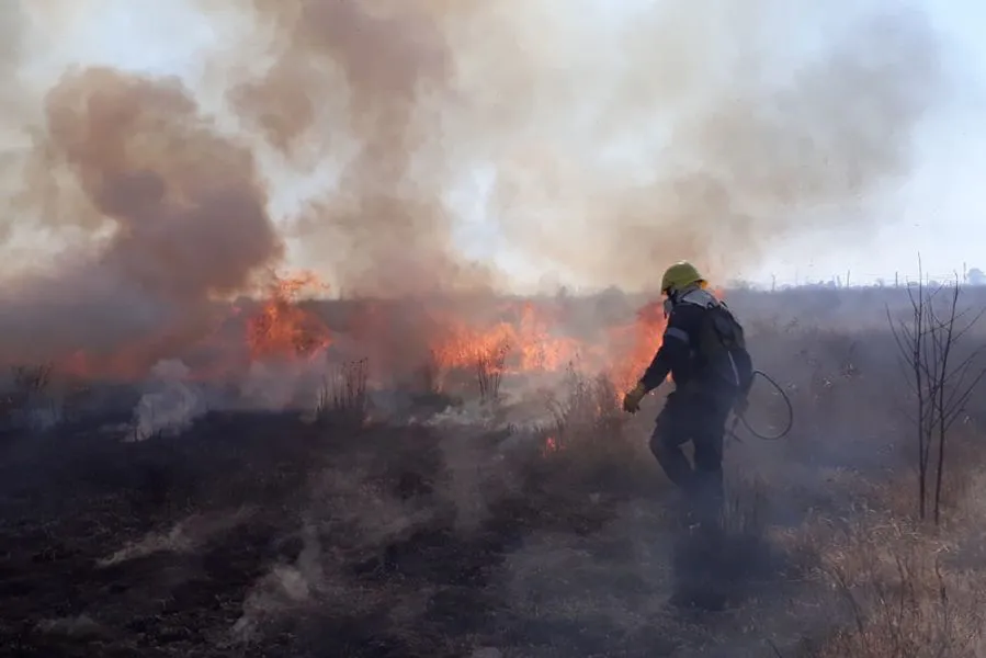 78416-primer-concurso-para-la-prevencion-de-incendios-forestales-en-salta-y-jujuy