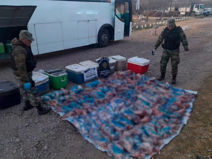 WhatsApp-Image-2024-08-28-at-11.56.58-AM-696x522