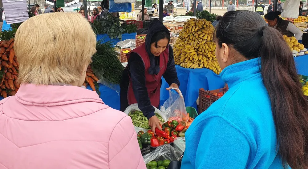 mercado-villa-primavera-1-1536x844