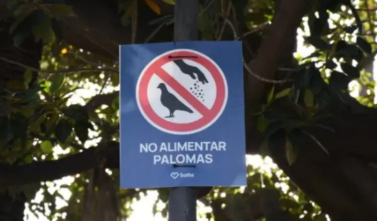 Captura de pantalla 2025-03-28 194956