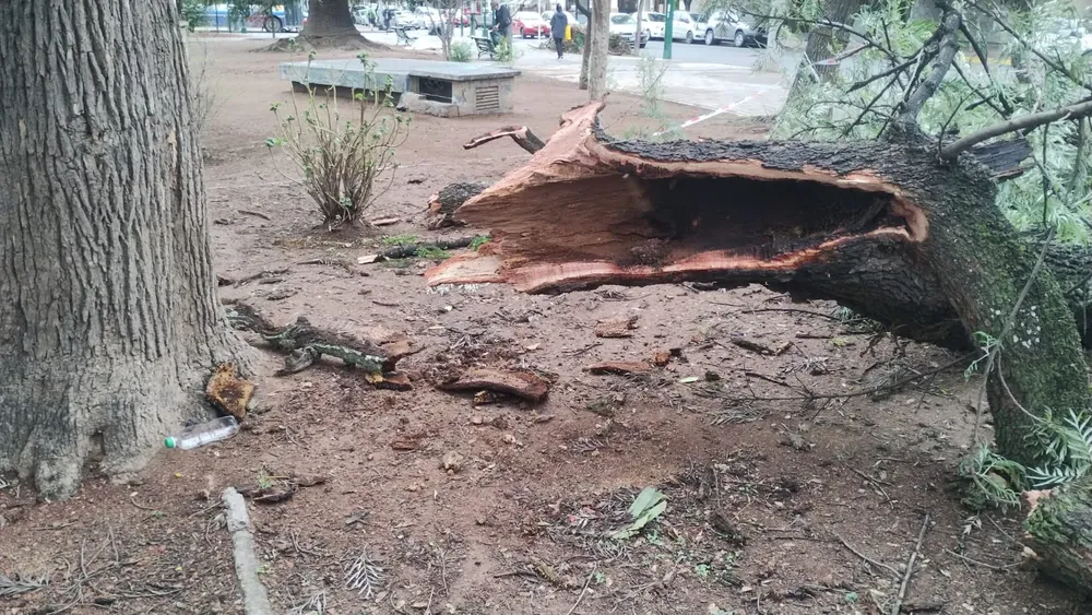 multimedia.grande.854ed04ef7fa9123.V2hhdHNBcHAgSW1hZ2UgMjAyMy0xMi0wNCBhdCAwOC5fZ3JhbmRlLndlYnA=