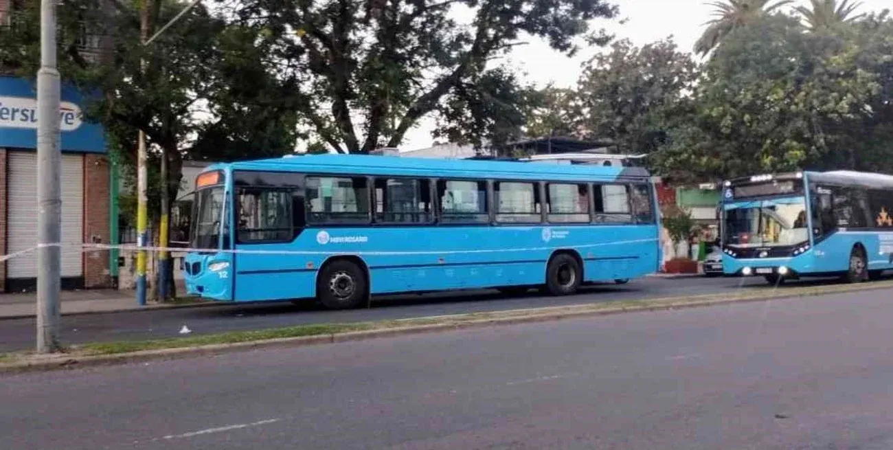 Z503dzrQZ_1300x655__1