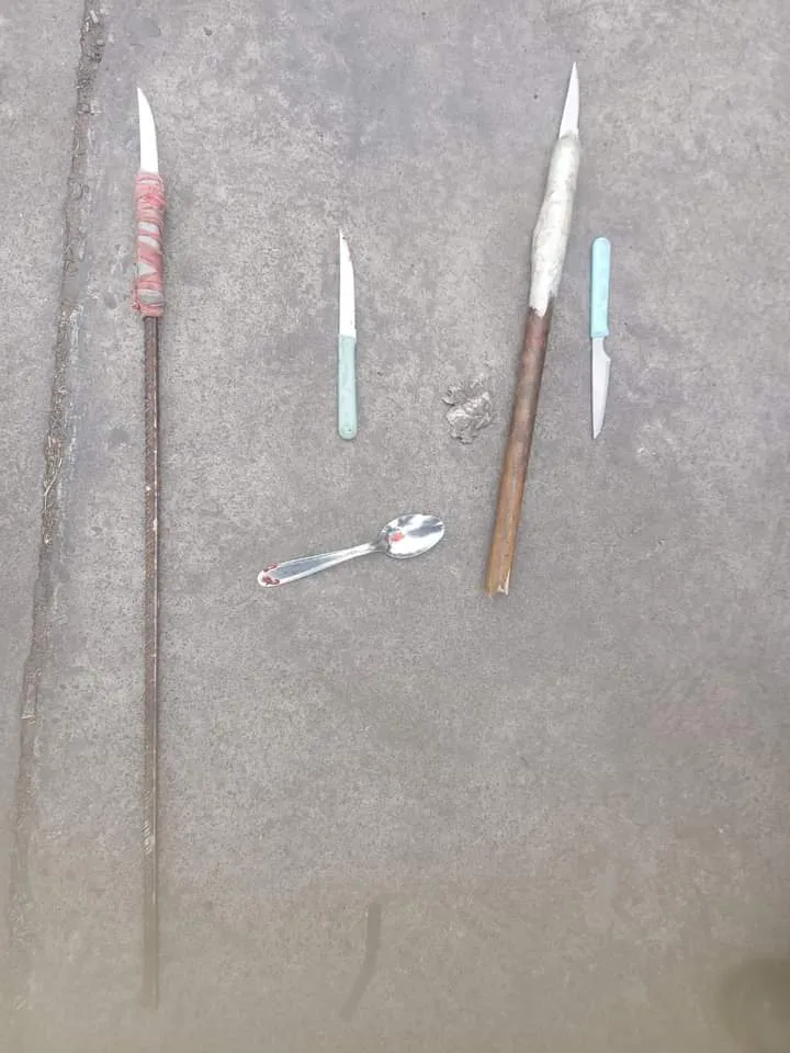 FB_IMG_1724337154646