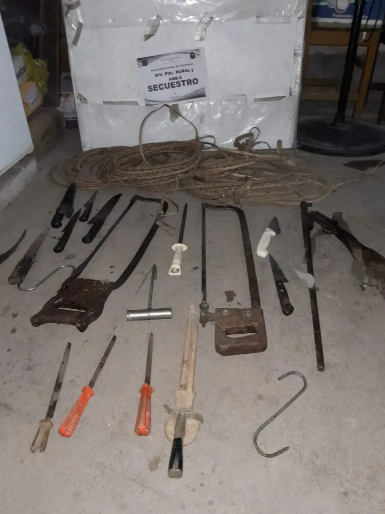 02354f1f-32b1-4527-b797-4a9c0169a8e0-768x1024