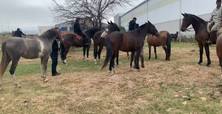 WhatsApp-Image-2025-05-05-at-10.17.13-AM-1-768x396