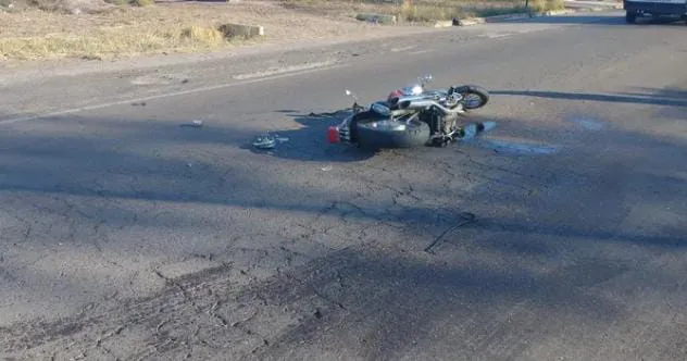 WhatsApp Image 2025-11-03 at 11.09.20