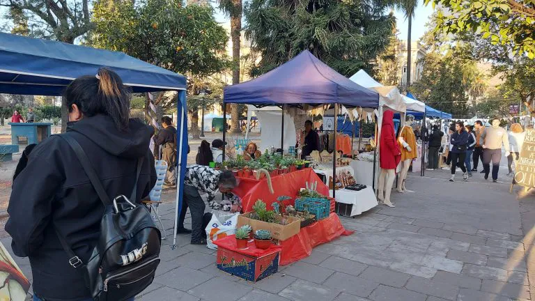 3-plaza-guemes-768x432 (1)