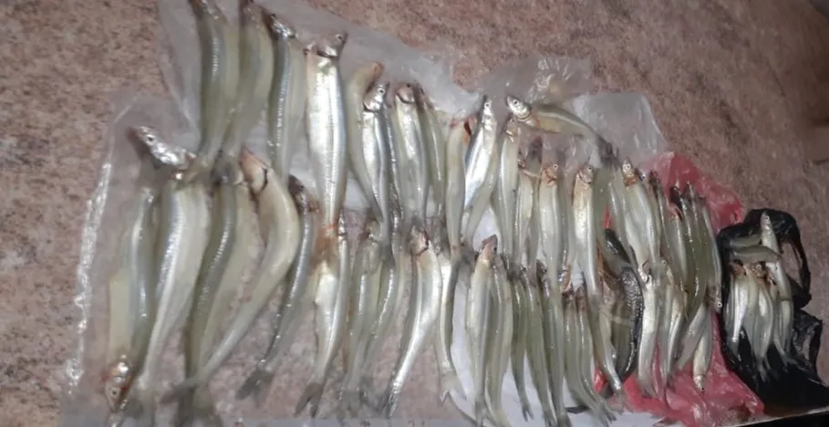 WhatsApp-Image-2024-03-31-at-5.04.17-AM