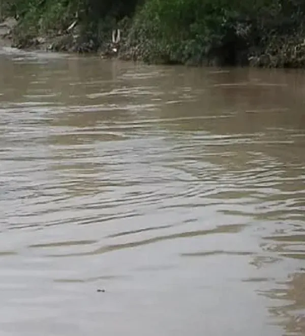 multimedia.normal.ad88041930eb1344.cmVwcmVzc2FhYWpfbm9ybWFsLmpwZw==