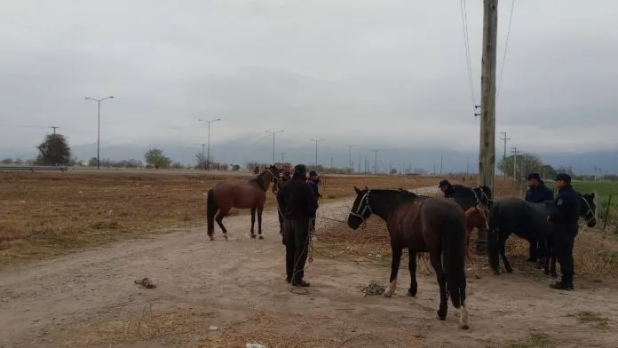 b211d896-d9b4-4209-9cc5-25544f522aa8-696x392