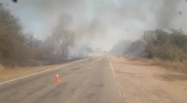 Captura de pantalla 2024-09-18 180355