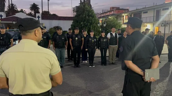 WhatsApp-Image-2024-12-12-at-1.35.17-PM-696x392