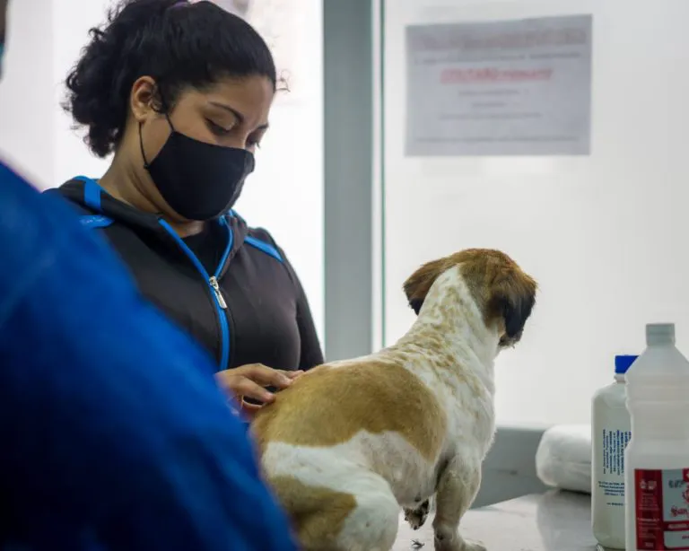 HOSPITAL-MUNICIPAL-DE-SALUD-ANIMAL-NUEVAS-ABRIL-8-768x614