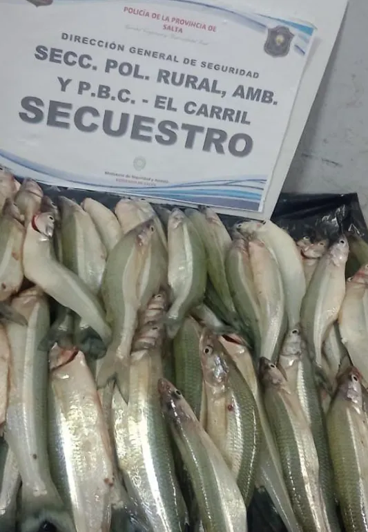 Captura de pantalla_24-7-2024_151623_prensa.policiadesalta.gob.ar