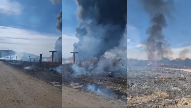 Captura de pantalla 2024-06-14 180817