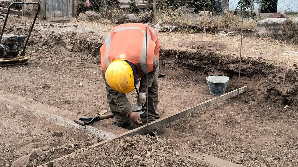 mi-vereda-floresta-2