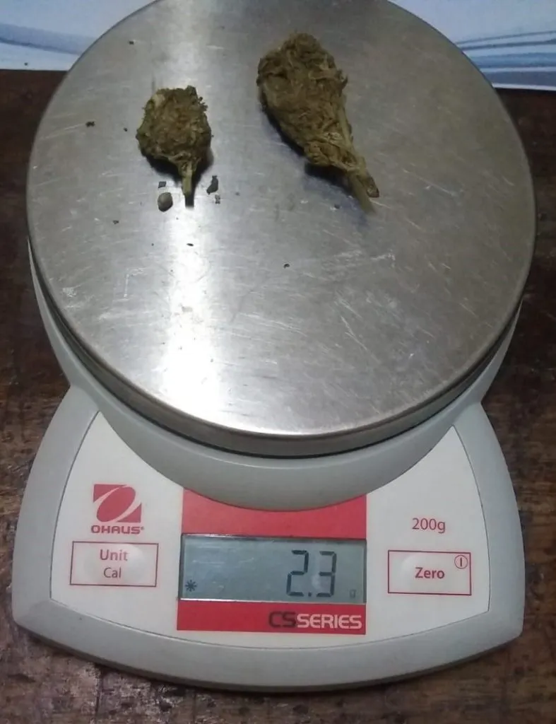 Imagen-de-WhatsApp-2024-03-06-a-las-10.17.00_dd55c1ec-787x1024