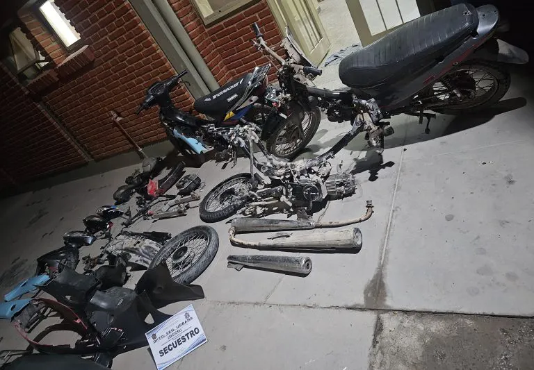 WhatsApp-Image-2025-07-28-at-8.26.12-AM-1-768x533