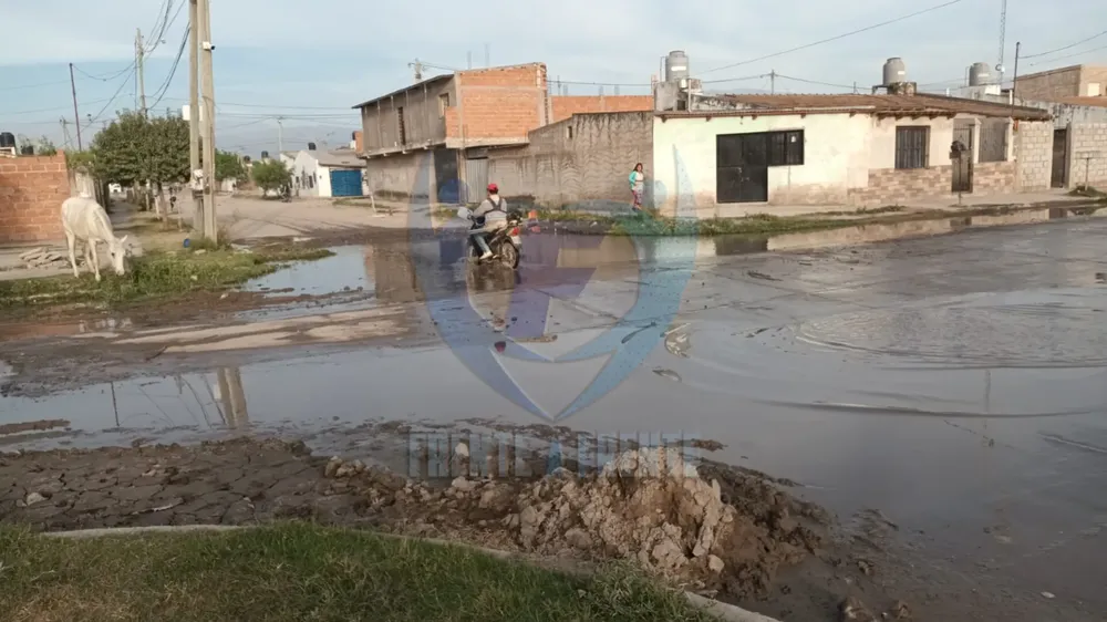 InShot_20231013_162756494