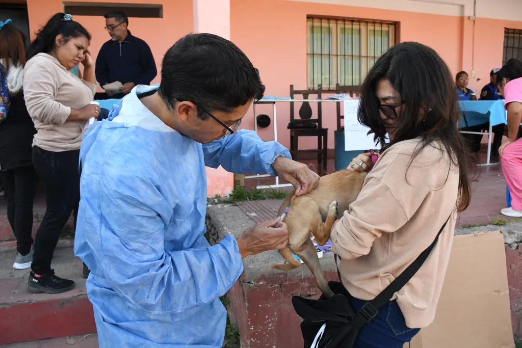 vacunacion-antirrabica-29-1024x683