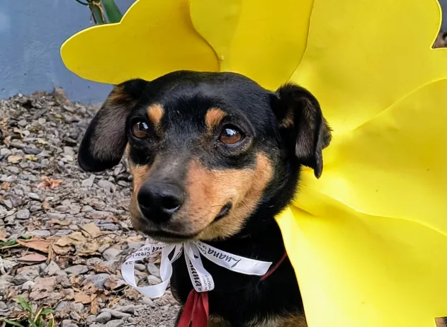 Captura de pantalla_22-4-2025_122823_prensa.municipalidadsalta.gob.ar