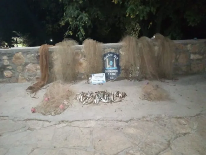 80b876e0-6917-4559-b0f9-a69ef8c90625-696x522