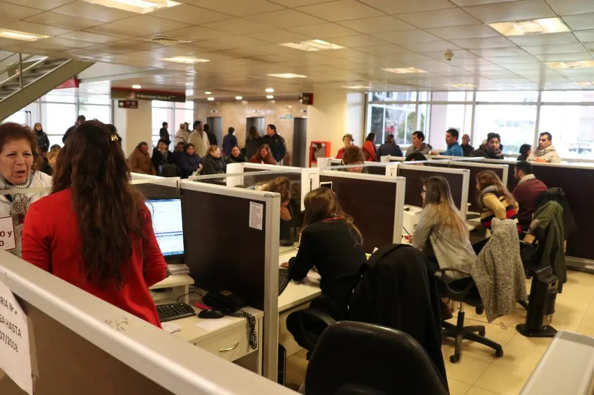 empleados-publicos-baja-contrataciones-milei