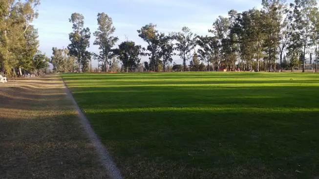 multimedia.normal.8f131b21b5385c23.6c61206c6f6d6120667574626f6c5f6e6f726d616c2e6a706567