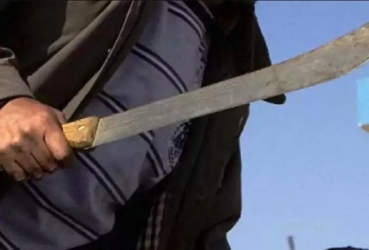 machete_2_0