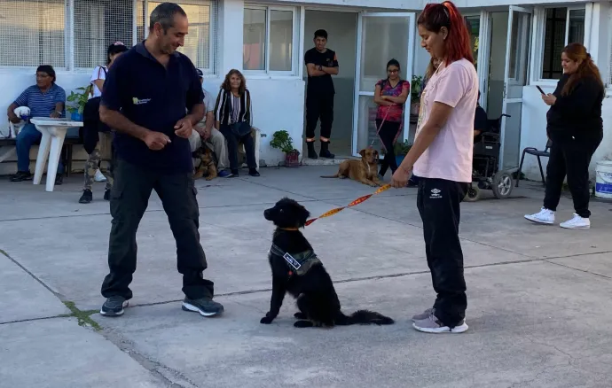 Captura de pantalla 2025-03-26 132146