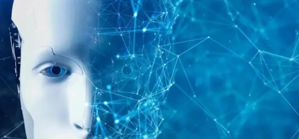 WhatsApp Image 2025-07-01 at 10.32.28