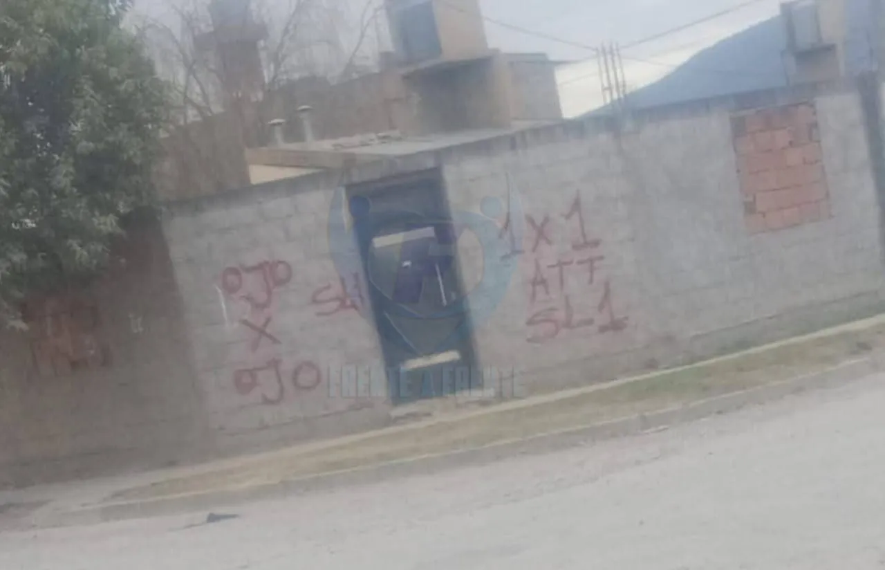 WhatsApp Image 2025-08-18 at 11.14.31