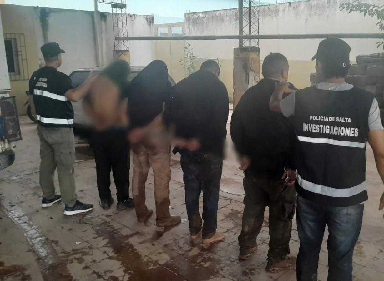 WhatsApp Image 2026-02-14 at 19.24.29