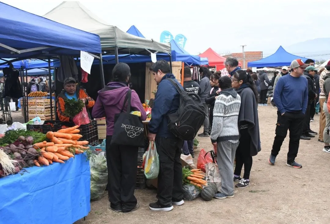 WhatsApp Image 2025-07-10 at 11.37.26