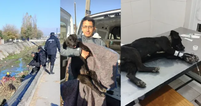 Captura de pantalla 2025-07-04 192941