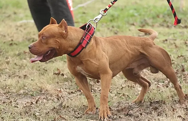 Captura de pantalla 2024-12-31 024046