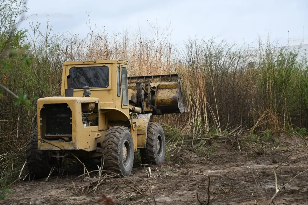 limpieza-baldio-barrio-el-bosque-6-1536x1024