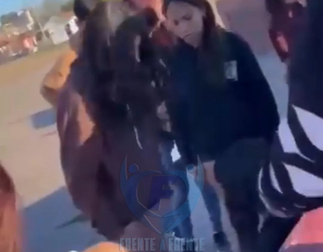 WhatsApp Image 2025-08-11 at 11.15.37